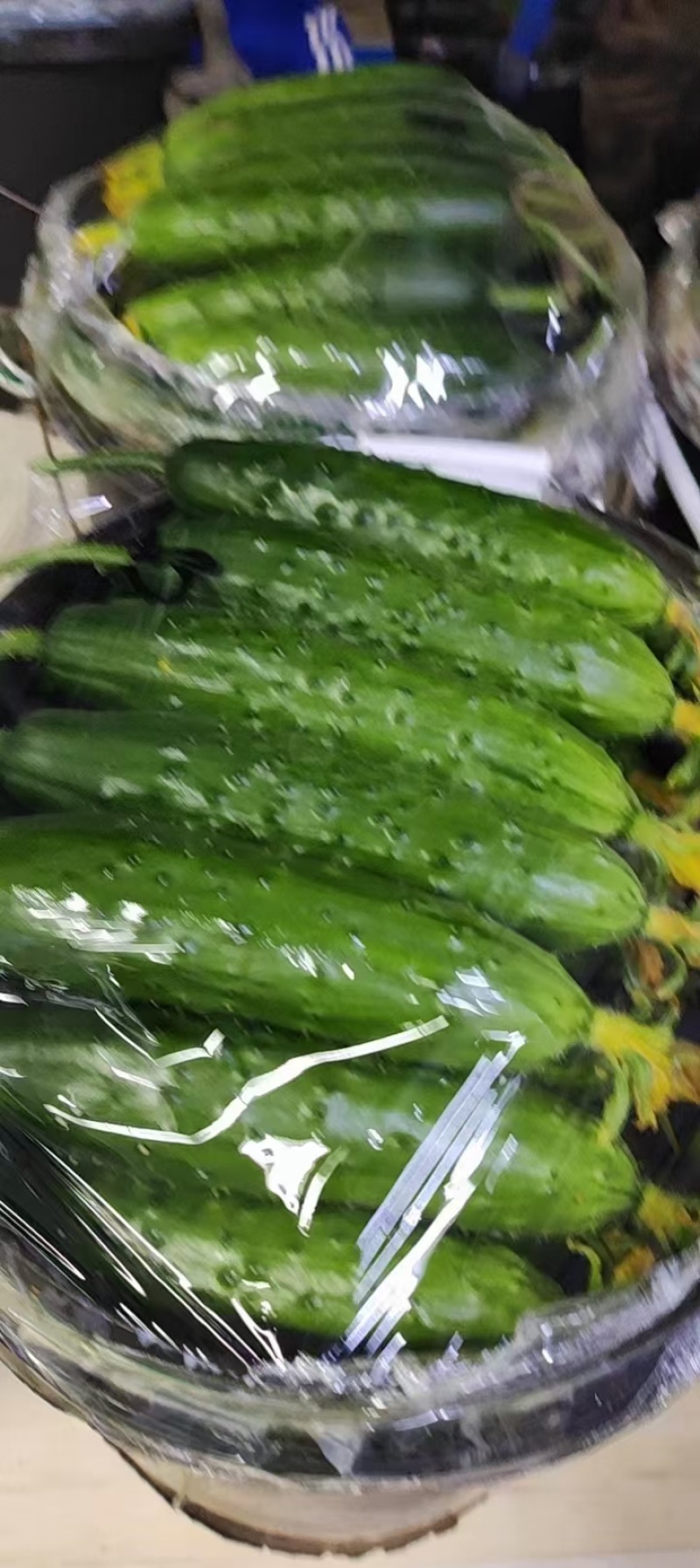 辽宁精品旱黄瓜大量供应，产地直发保证质量对接商超市场