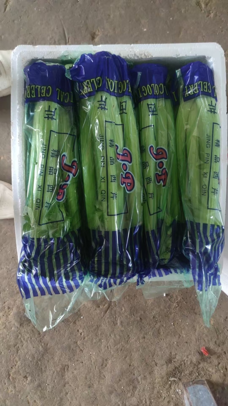 精品西芹产地直发价格优惠欢迎来电洽谈价更优