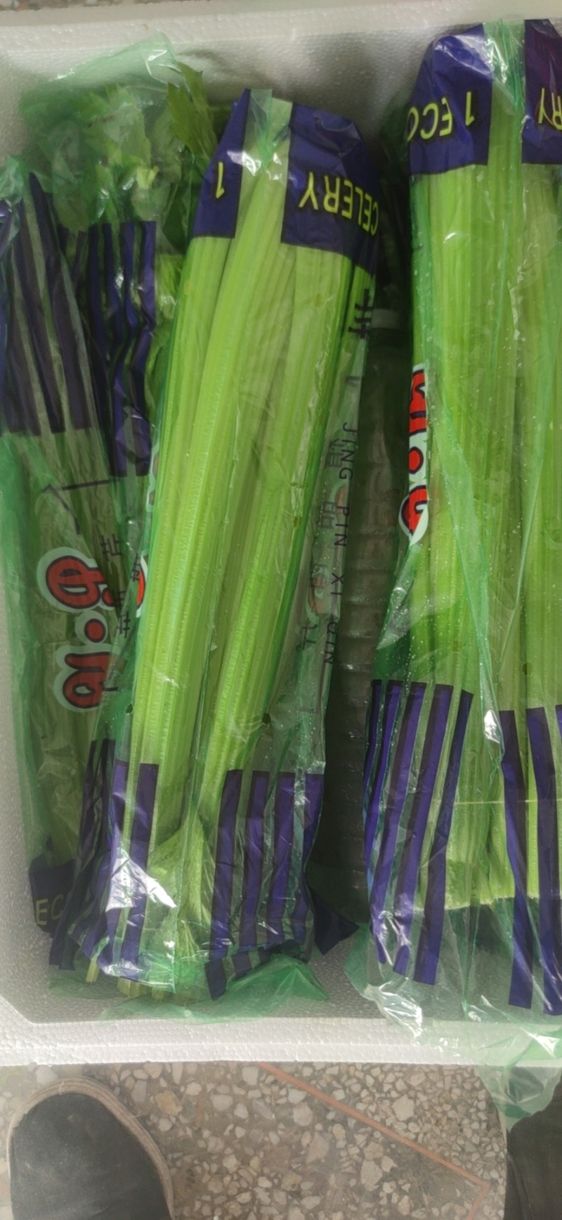 精品西芹产地直发价格优惠欢迎来电洽谈价更优