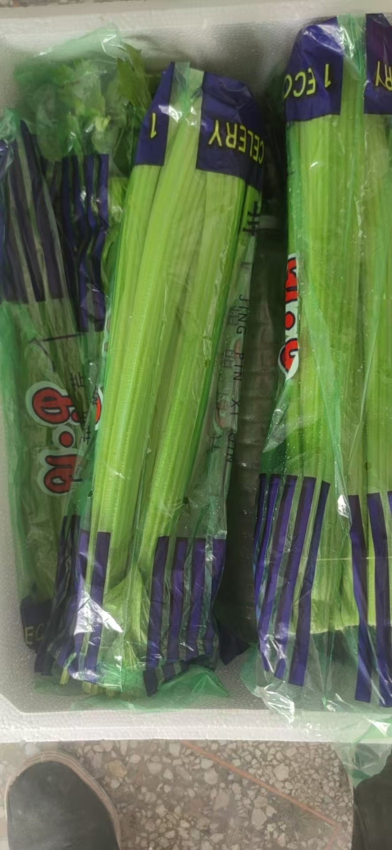 精品西芹产地直发价格优惠欢迎来电洽谈价更优