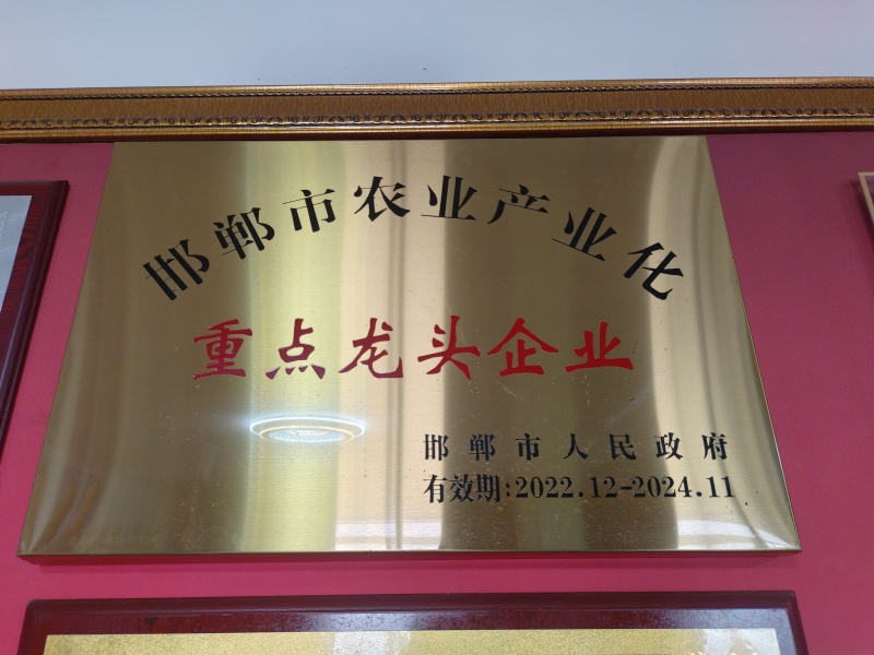 复合微生物肥料微生物肥料有机无机微生物三合一