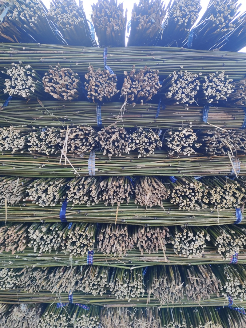 批发竹子菜架竹，小竹竿，竹片，种菜用的竹子，豆角架竿