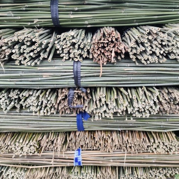 批发竹子菜架竹，小竹竿，竹片，种菜用的竹子，豆角架竿
