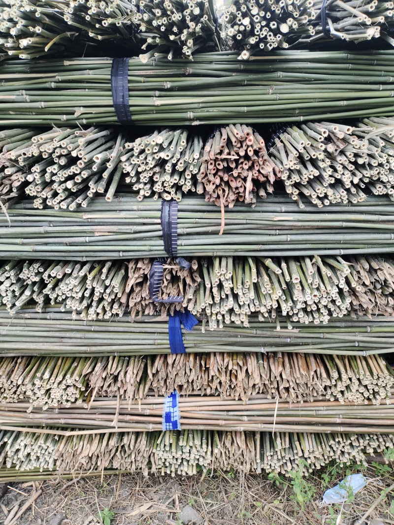批发竹子菜架竹，小竹竿，竹片，种菜用的竹子，豆角架竿