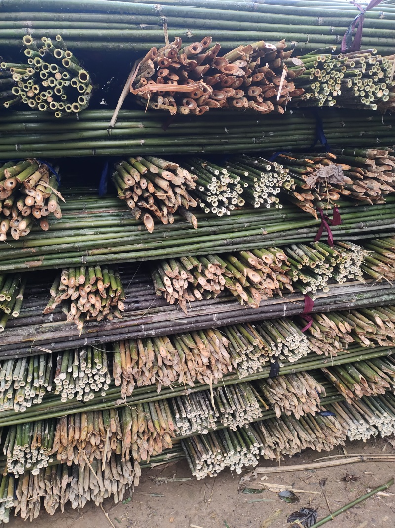 批发竹子菜架竹，小竹竿，竹片，种菜用的竹子，豆角架竿