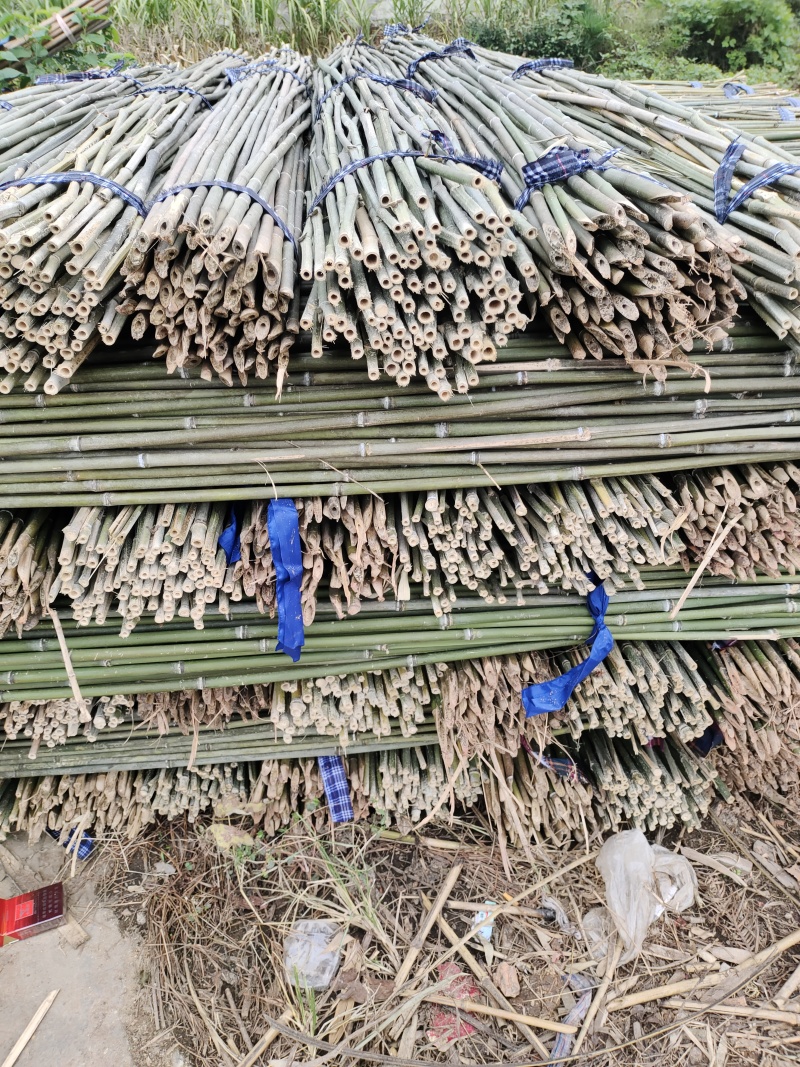 批发竹子菜架竹，小竹竿，竹片，种菜用的竹子，豆角架竿
