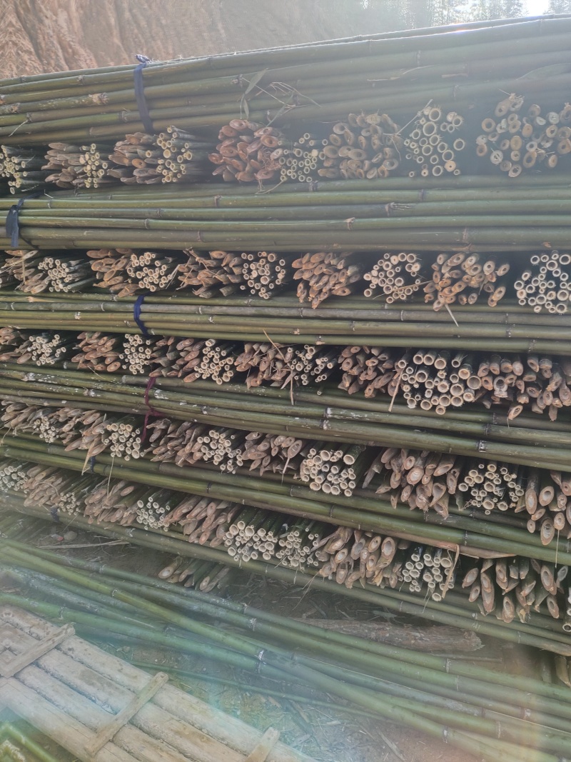 批发竹子菜架竹，小竹竿，竹片，种菜用的竹子，豆角架竿