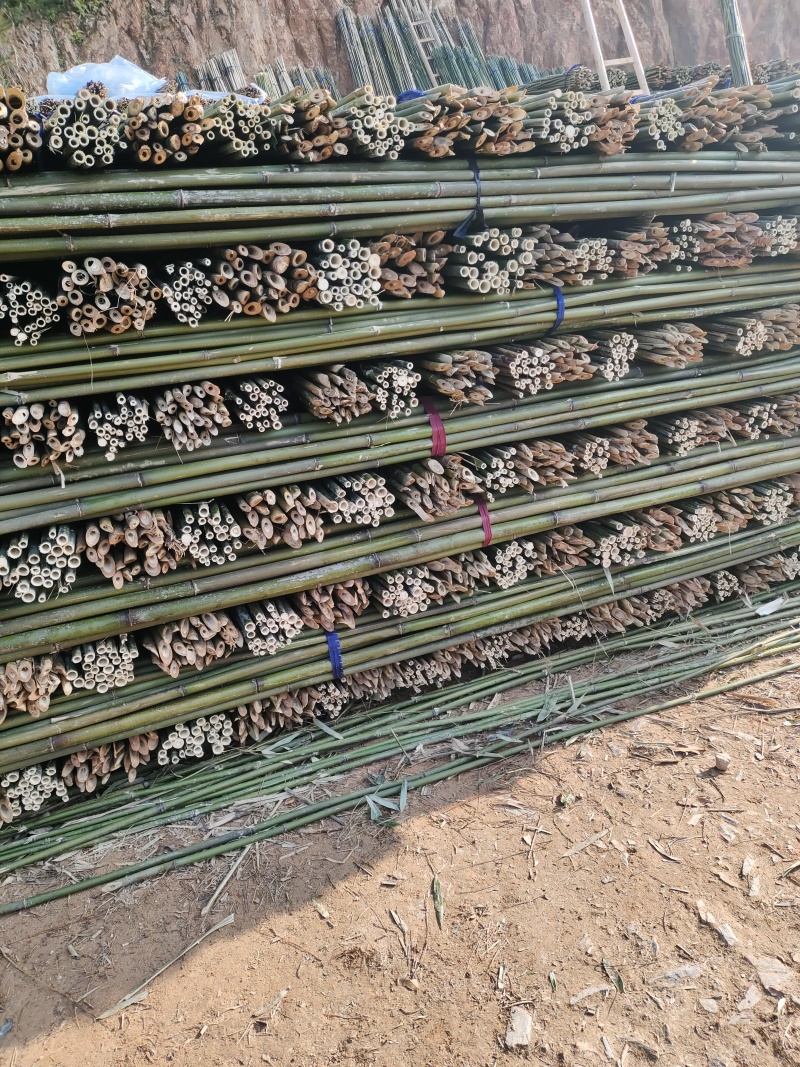 批发竹子菜架竹，小竹竿，竹片，种菜用的竹子，豆角架竿