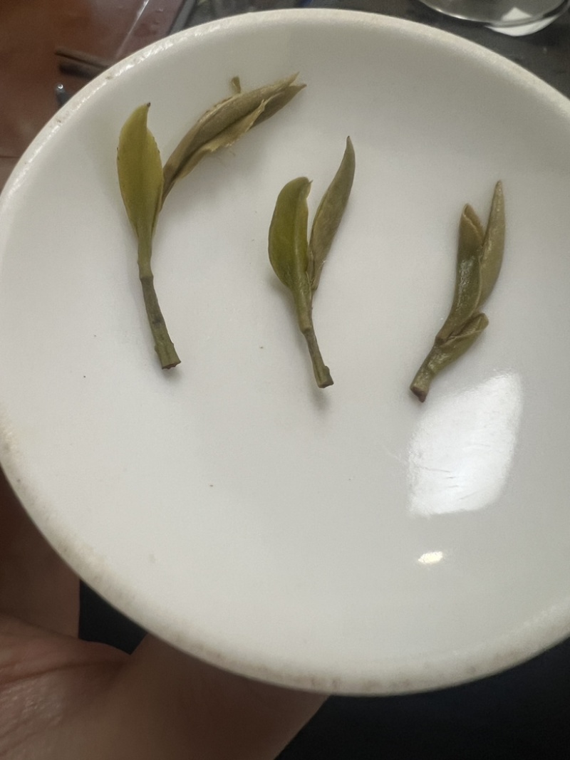 老树牡丹新茶优质茶品品味好茶支持一件代发