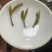 老树牡丹新茶优质茶品品味好茶支持一件代发