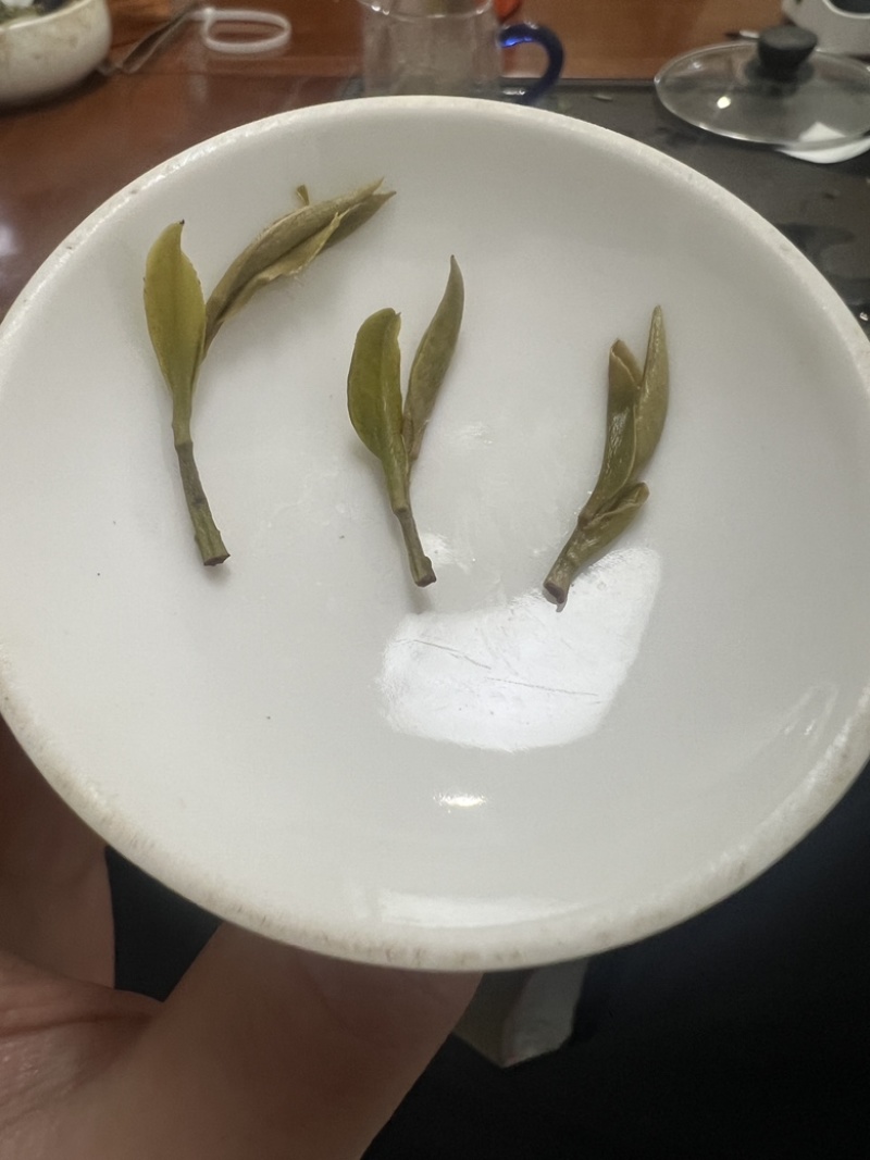 老树牡丹新茶优质茶品品味好茶支持一件代发