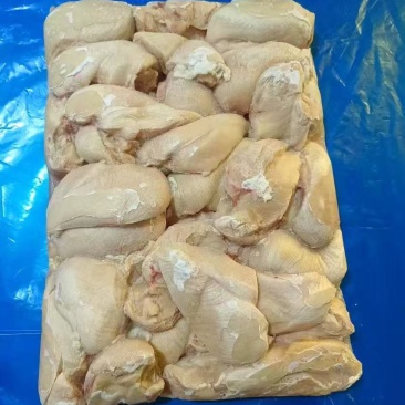 板冻大胸单冻大胸鸡大胸各种规格