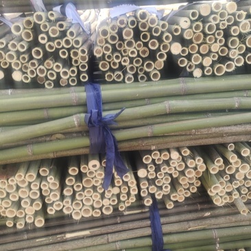 批发江西菜架竹，竹竿，竹子，小山竹，毛竹