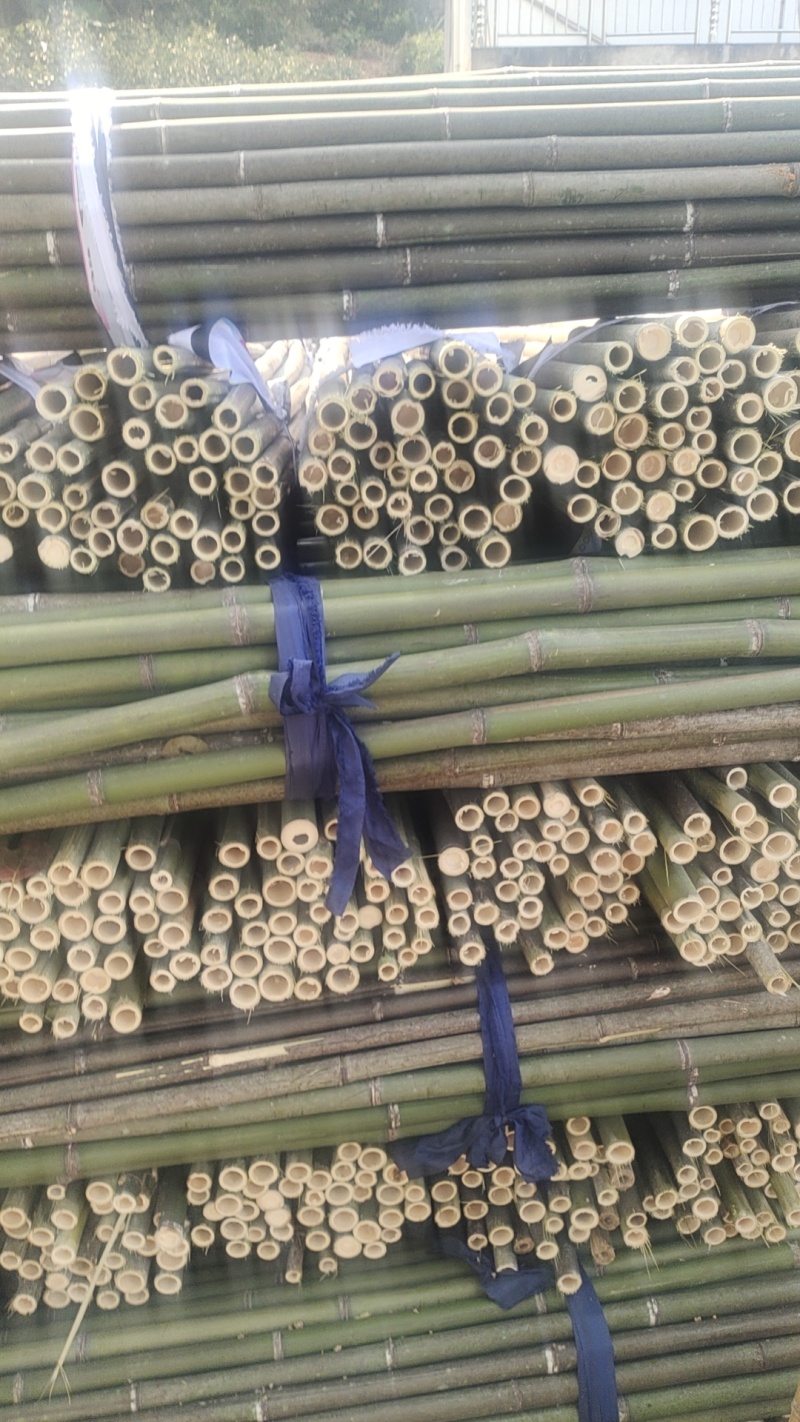 批发江西菜架竹，竹竿，竹子，小山竹，毛竹