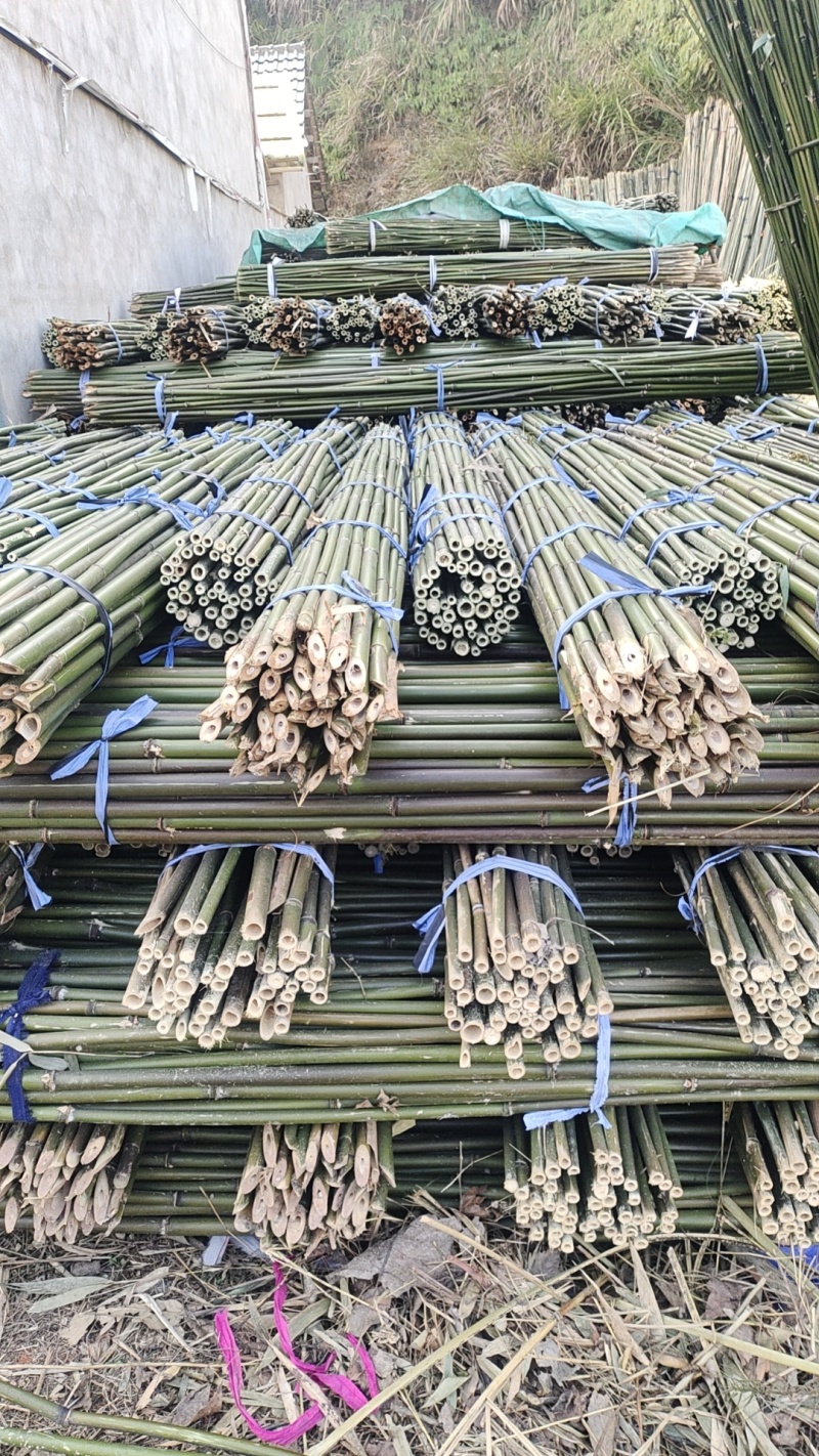 批发江西菜架竹，竹竿，竹子，小山竹，毛竹