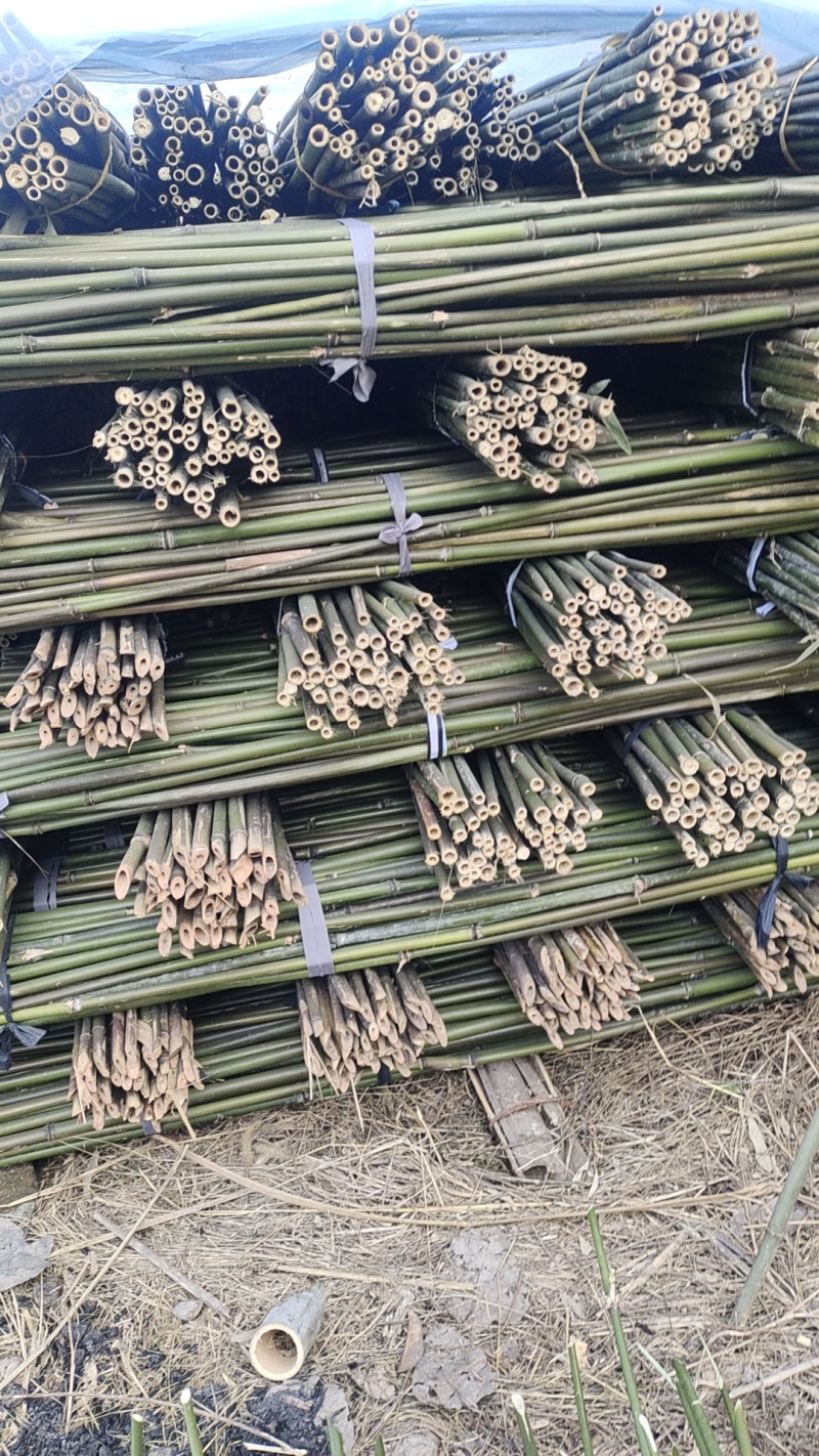 批发江西菜架竹，竹竿，竹子，小山竹，毛竹
