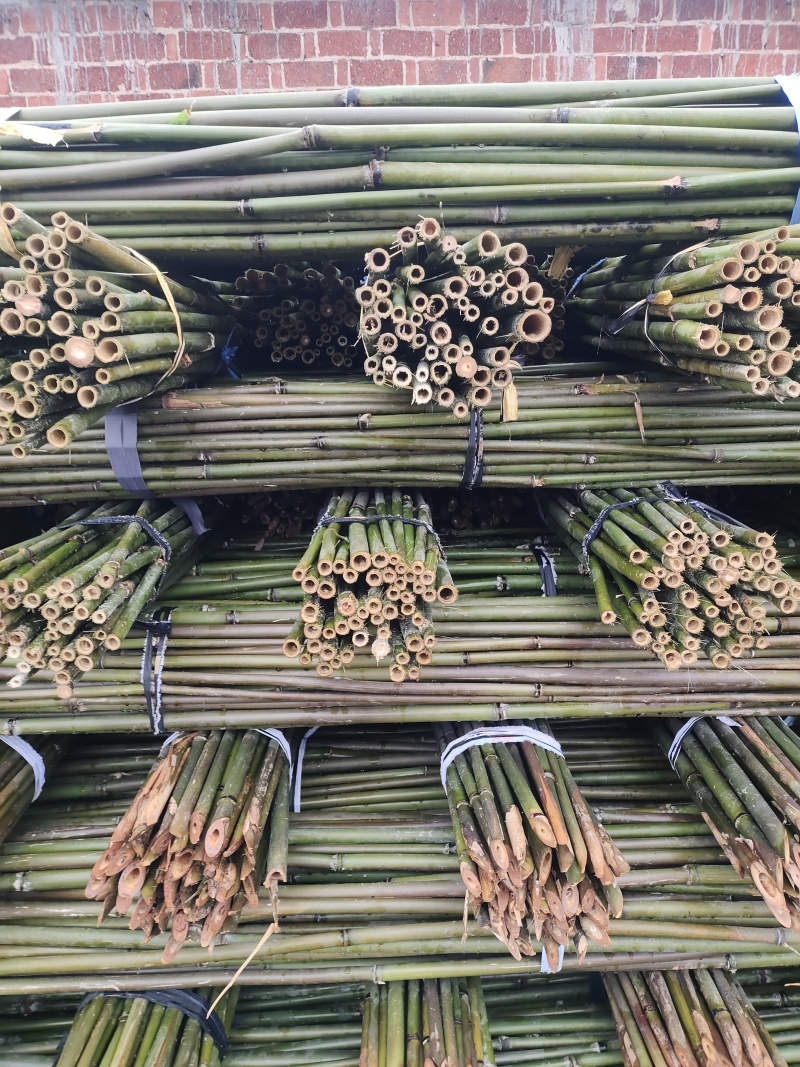 批发江西菜架竹，竹竿，竹子，小山竹，毛竹