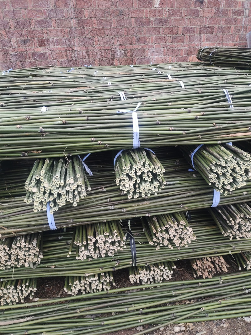 批发江西菜架竹，竹竿，竹子，小山竹，毛竹