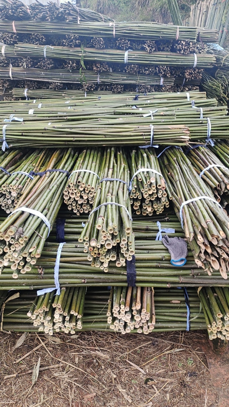 江西竹子竹竿批发出售价格低质量好