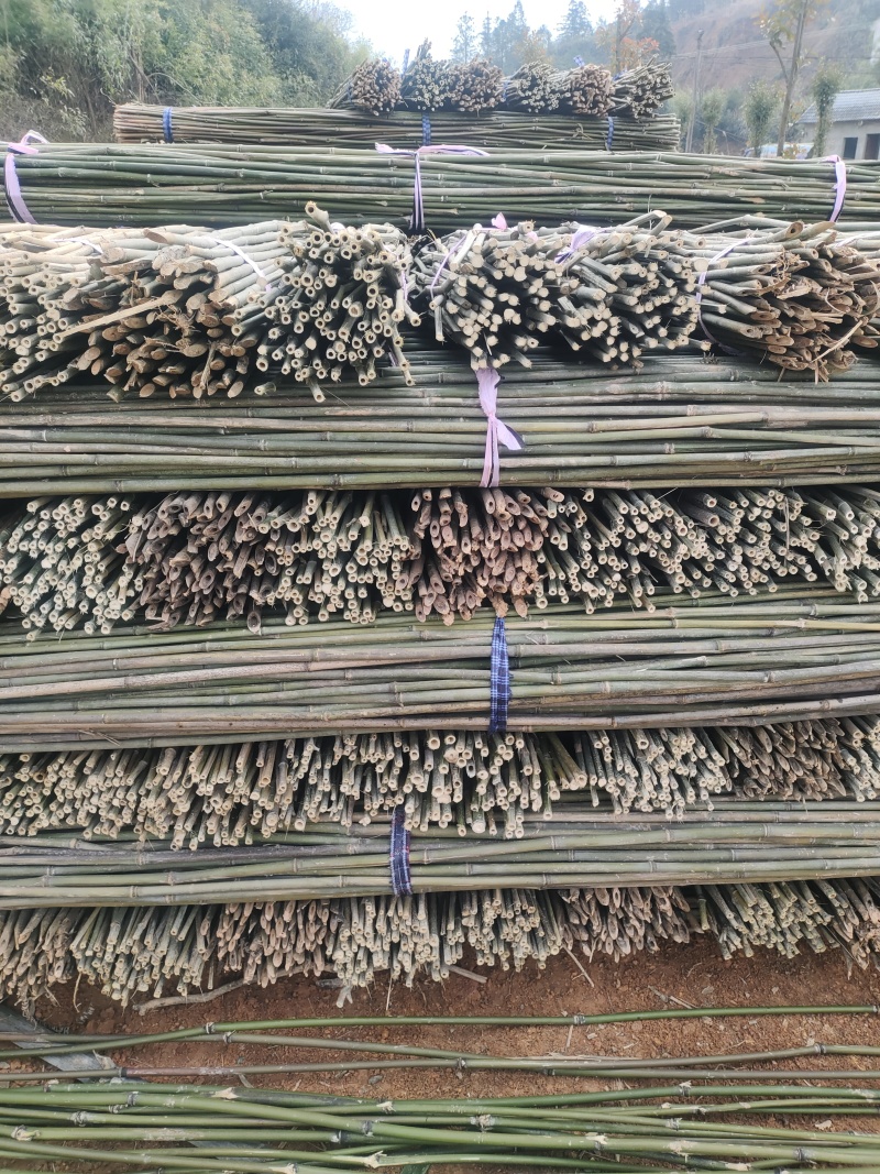 江西竹子竹竿批发出售价格低质量好