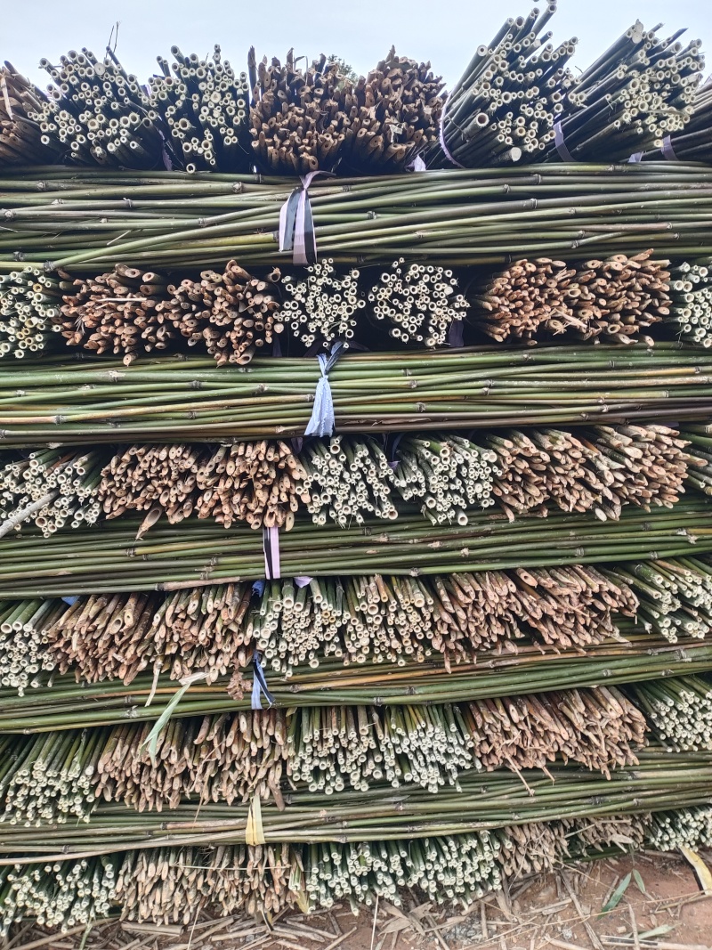 江西竹子竹竿批发出售价格低质量好