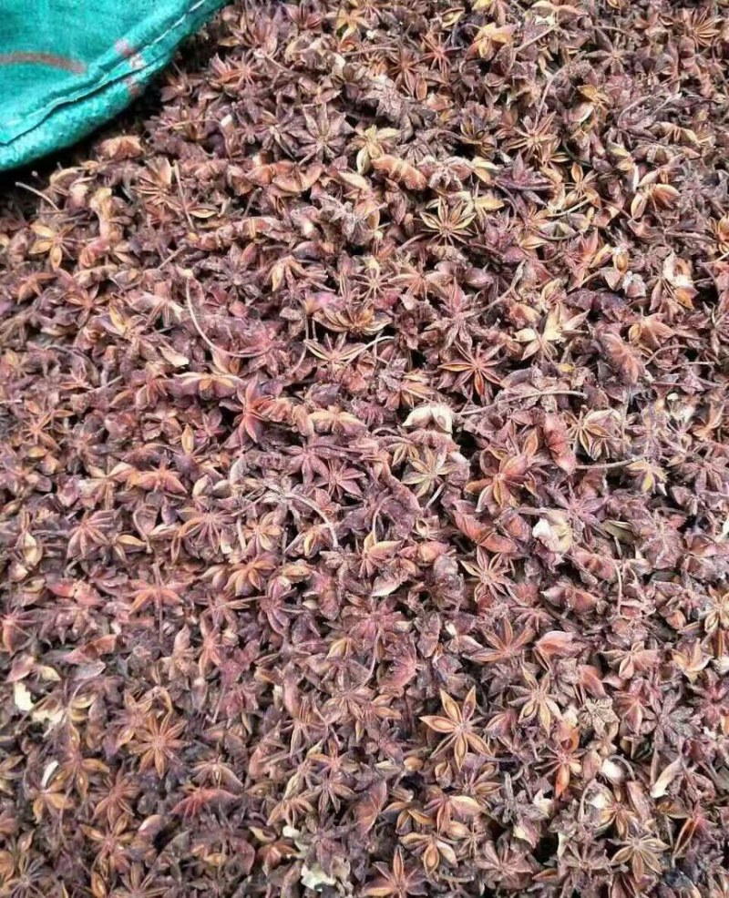 云南精品八角产地直发一手货源保质保量代发全国
