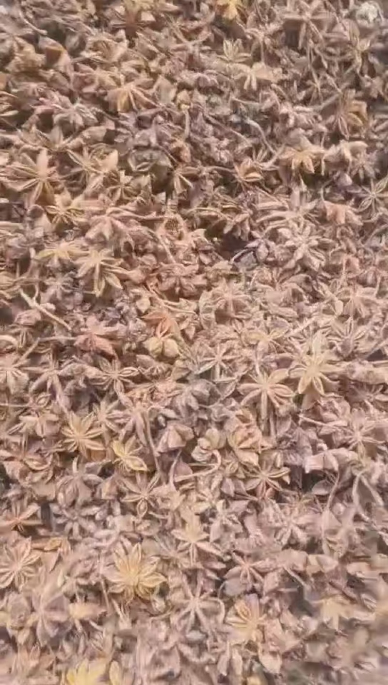 云南精品八角产地直发一手货源保质保量代发全国