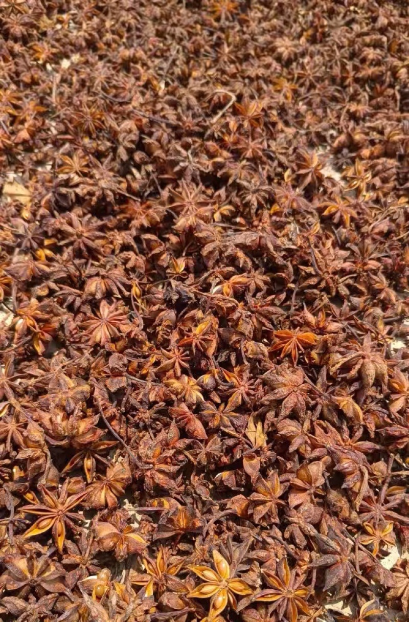 云南精品八角产地直发一手货源保质保量代发全国