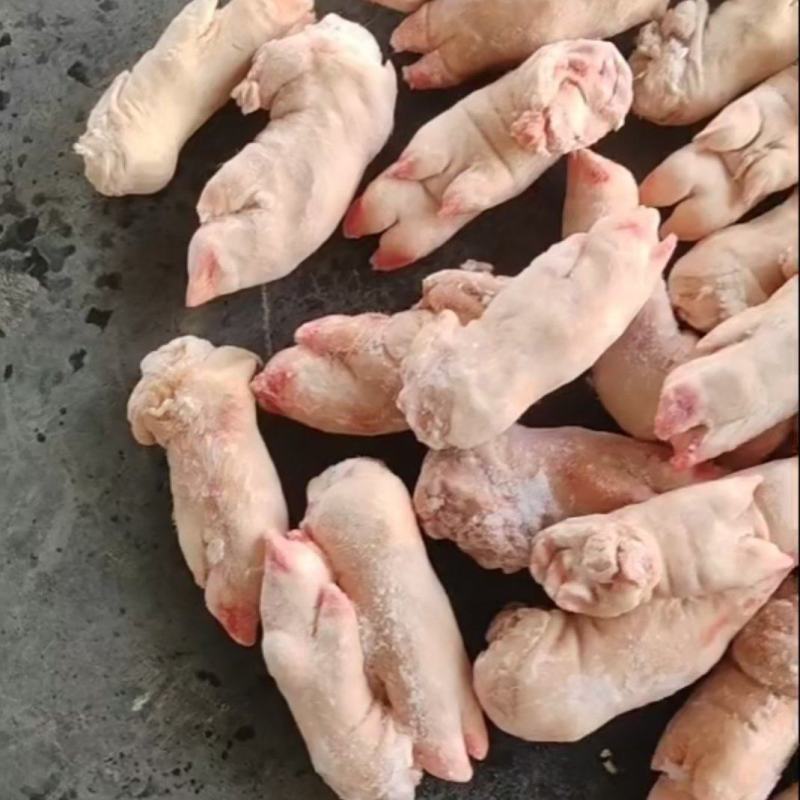 肥猪一级猪蹄