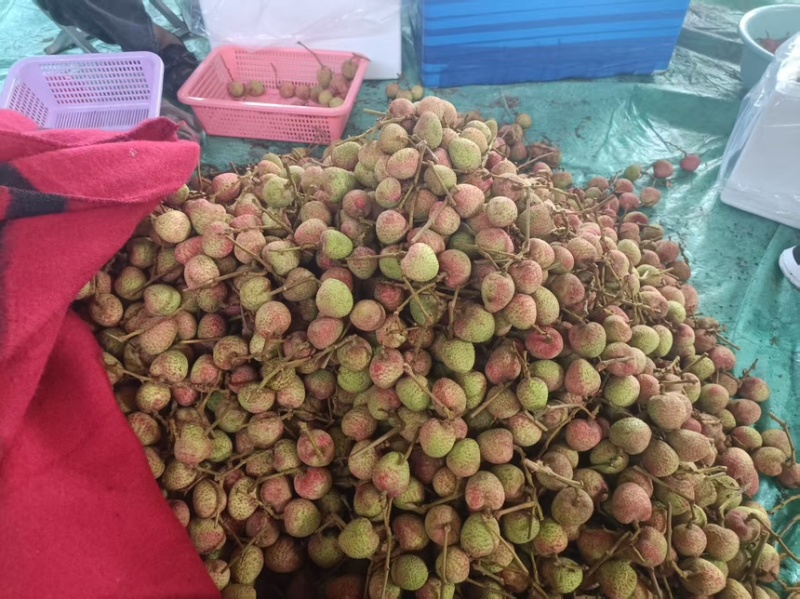 荔枝