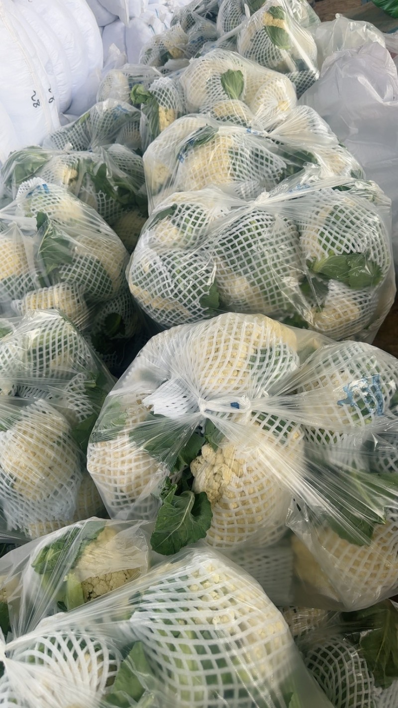 精品有机花