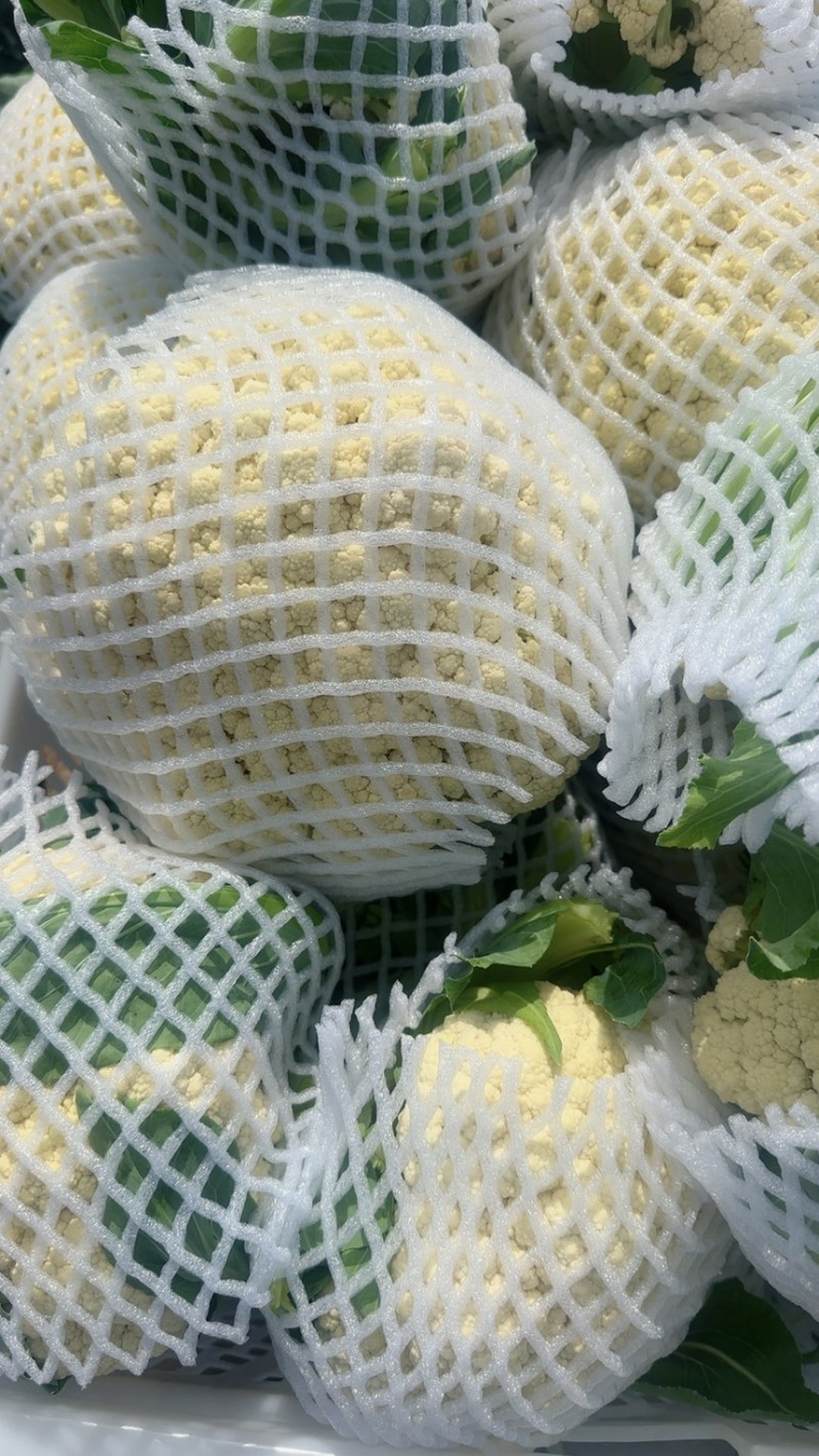 精品有机花