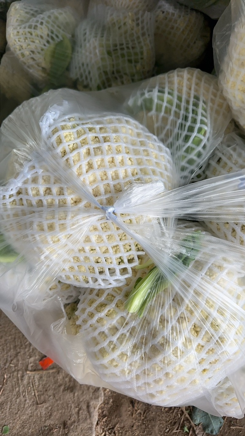 精品有机花