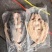 反骨开背巴沙鱼，连锁烤鱼店和纸包鱼专用