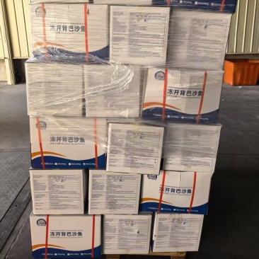 反骨开背巴沙鱼，连锁烤鱼店和纸包鱼专用