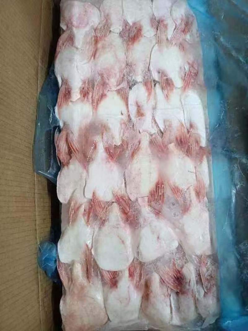 巴沙鱼鳍，每天两柜发往全国各地，有需要的老板欢迎咨询