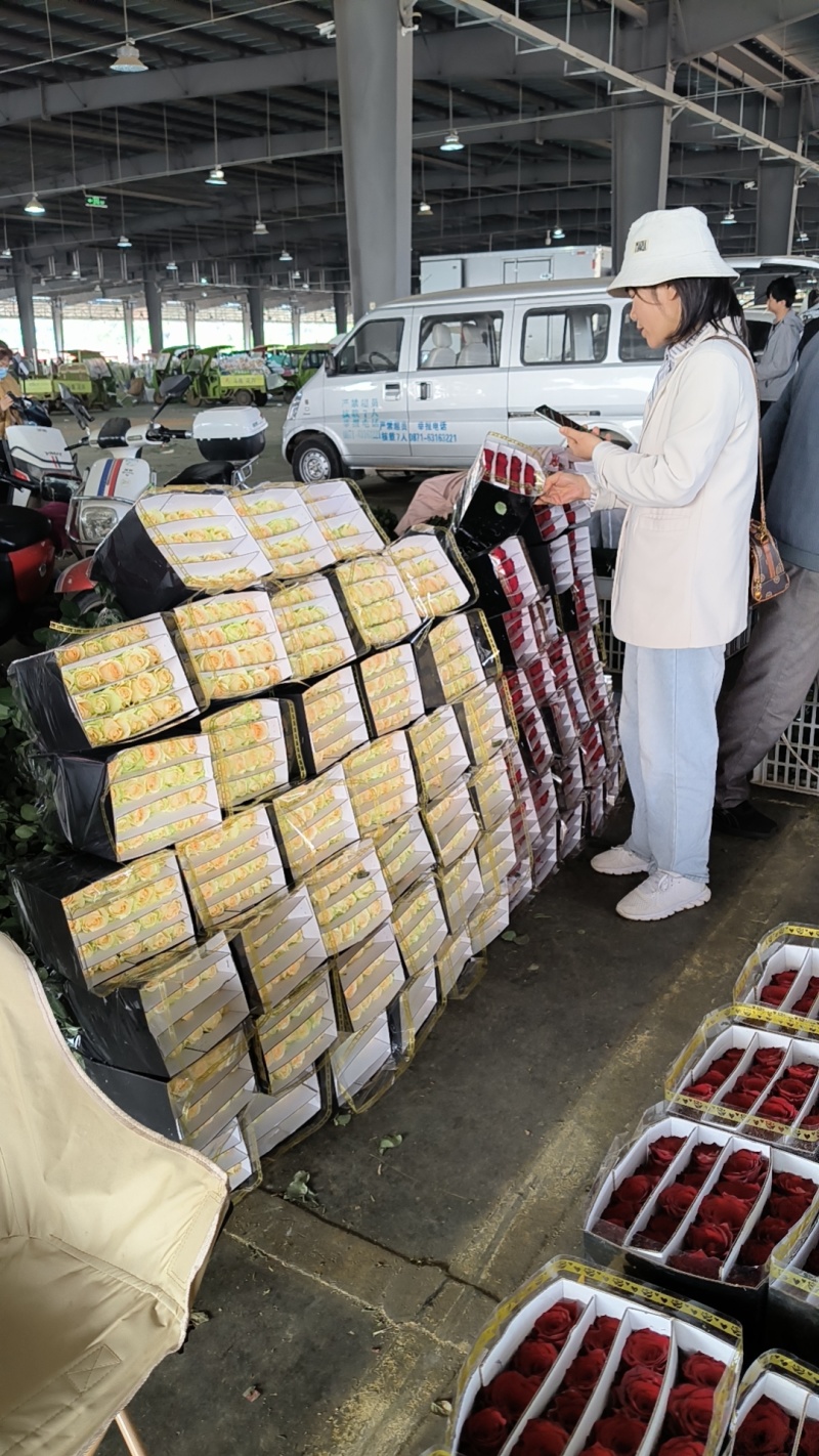 玫瑰鲜切花……………