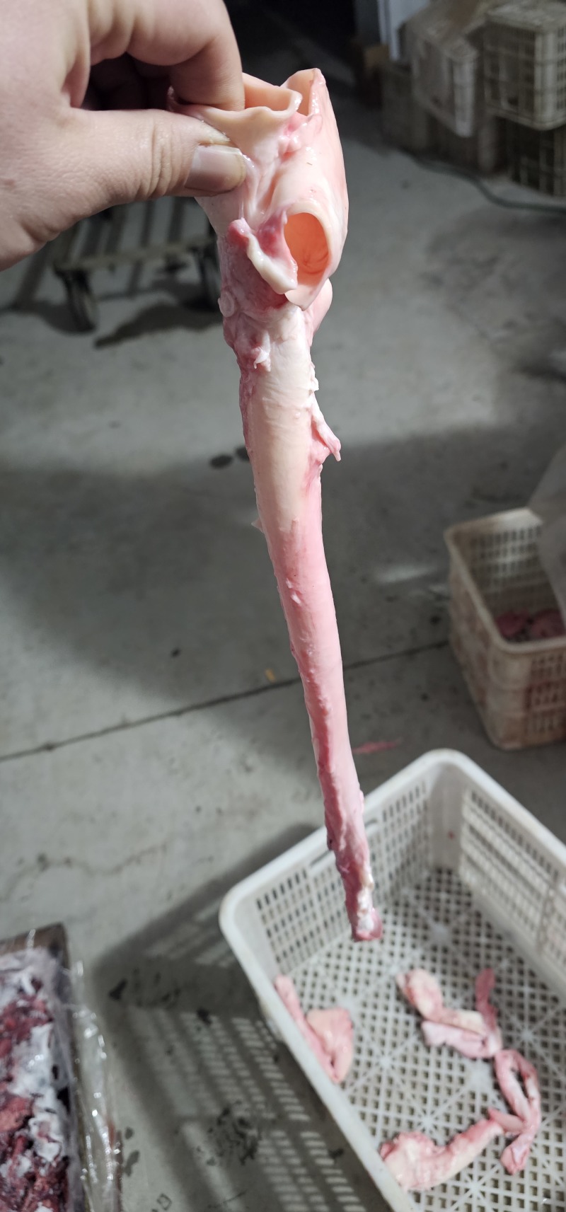 猪心管猪黄喉