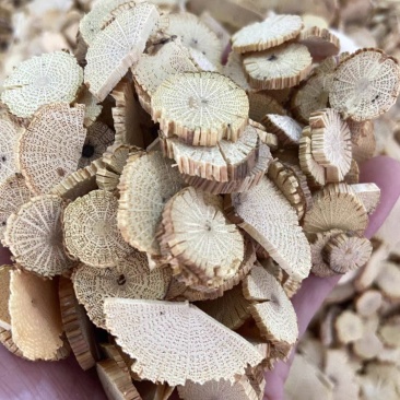 木通片，湖南湘西自治州老家深山正宗山木通
