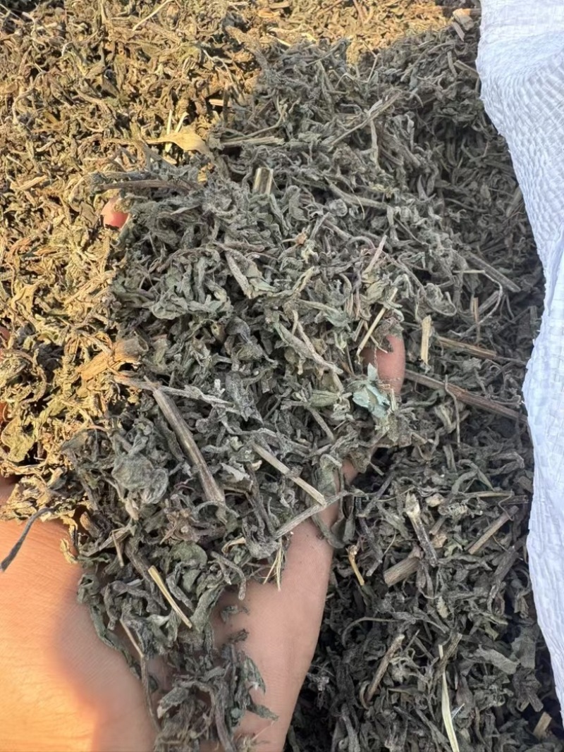 墨旱莲切段过筛***********
