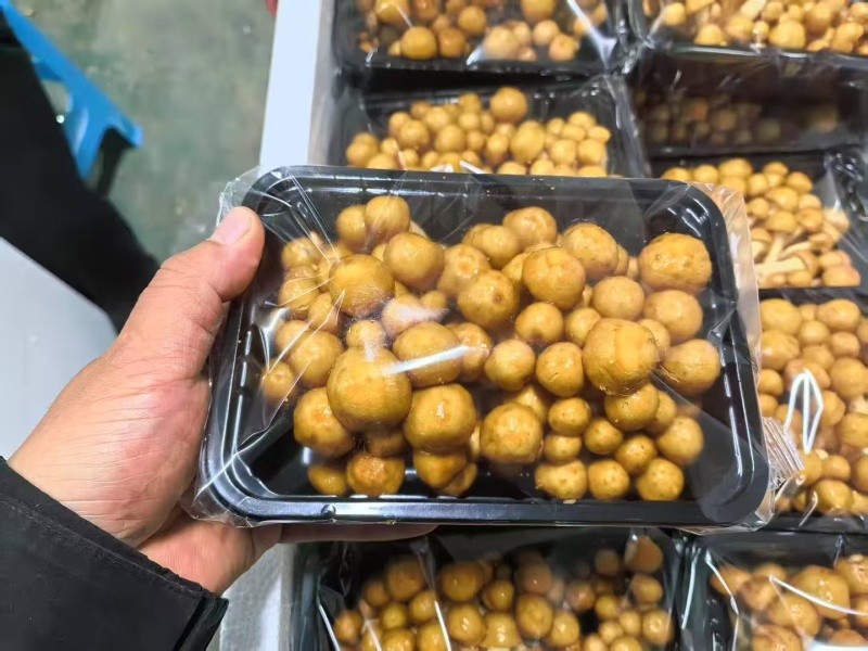 陕西省商洛市丹凤县工厂化滑子菇大量上市