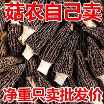 【无干燥剂】净重羊肚菌干货头茬农家土特产大个菌菇蘑菇滋补