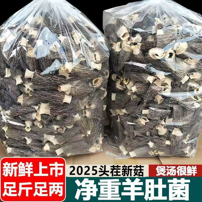 【无干燥剂】净重羊肚菌干货头茬农家土特产大个菌菇蘑菇滋补