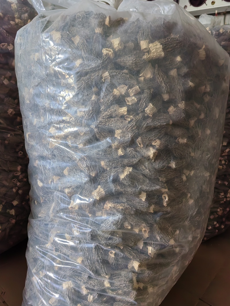 【无干燥剂】净重羊肚菌干货头茬农家土特产大个菌菇蘑菇滋补