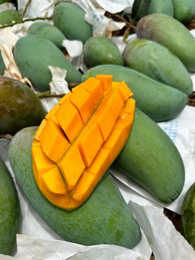 云南金煌芒·云南楚雄武定种植基地