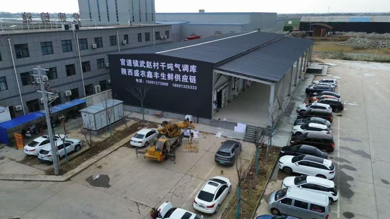 陕西阎良甜瓜/一件代发/对接电商/微商/包邮包售后