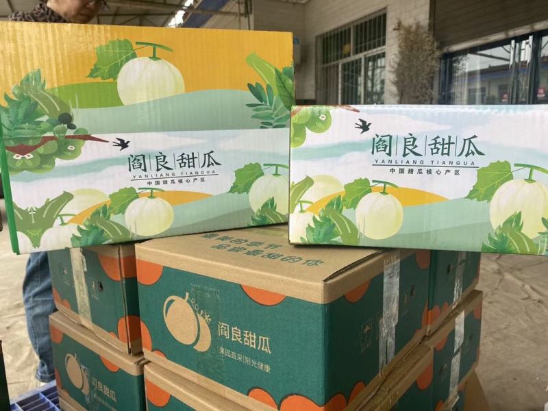 陕西阎良甜瓜/一件代发/对接电商/微商/包邮包售后