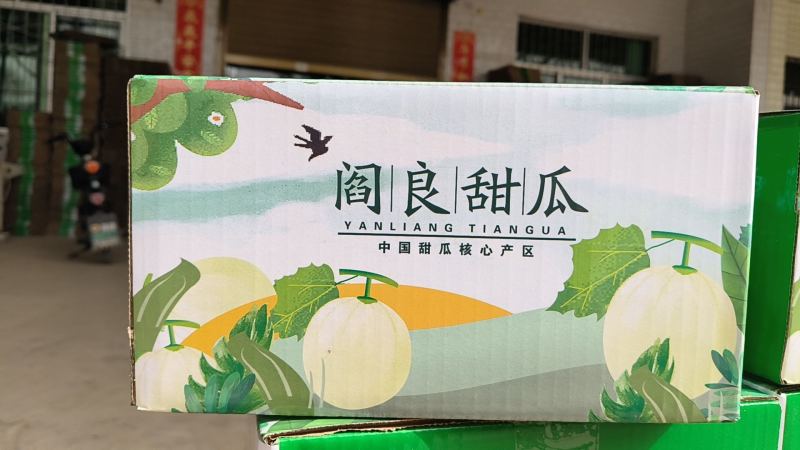 陕西阎良甜瓜/一件代发/对接电商/微商/包邮包售后