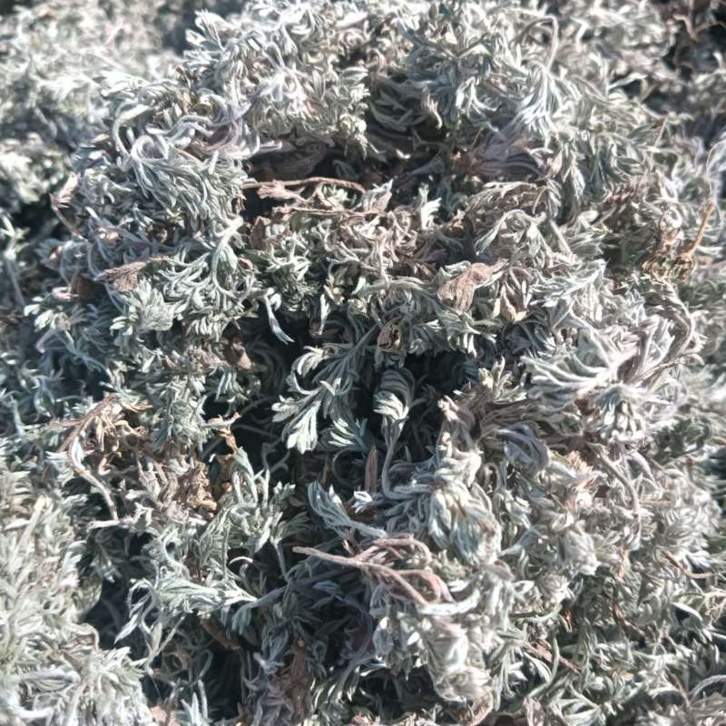 新产高含量茵陈。颜色好，没有杂质。