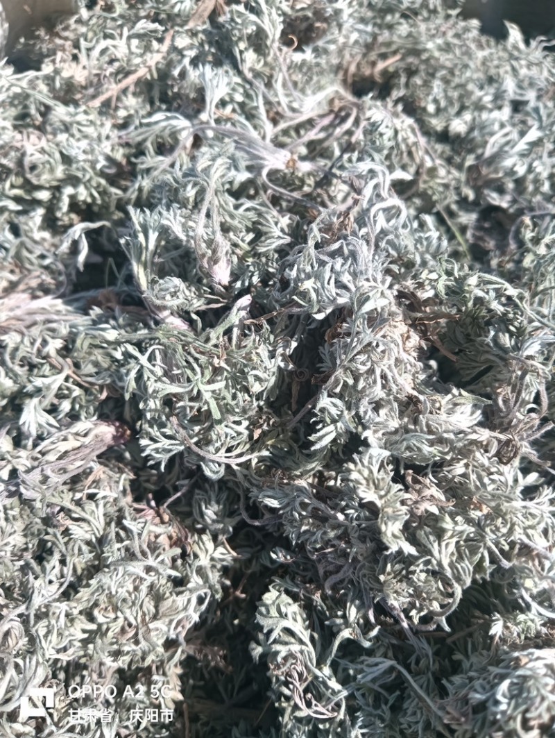 新产高含量茵陈。颜色好，没有杂质。